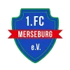1. FC Merseburg U9