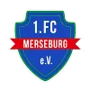 1. FC Merseburg U9 