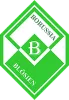 BSV Borussia Blösien