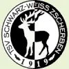 TSV Schw.-Weiß Zscherben II