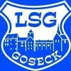 LSG Goseck AH