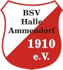 BSV Halle-Ammendorf II