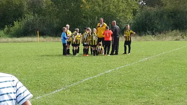 02.09.2017 ESV Merseburg vs. SV 1916 Beuna