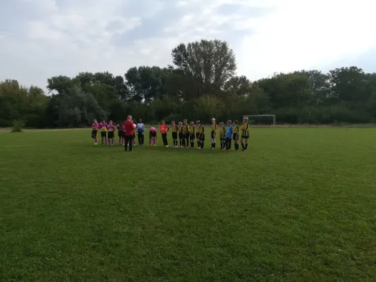 02.09.2017 ESV Merseburg vs. SV 1916 Beuna